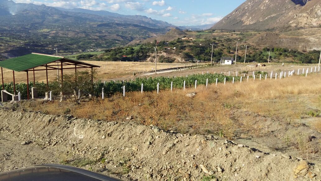 Vendo Lotes en Yunguilla (Sulupali)