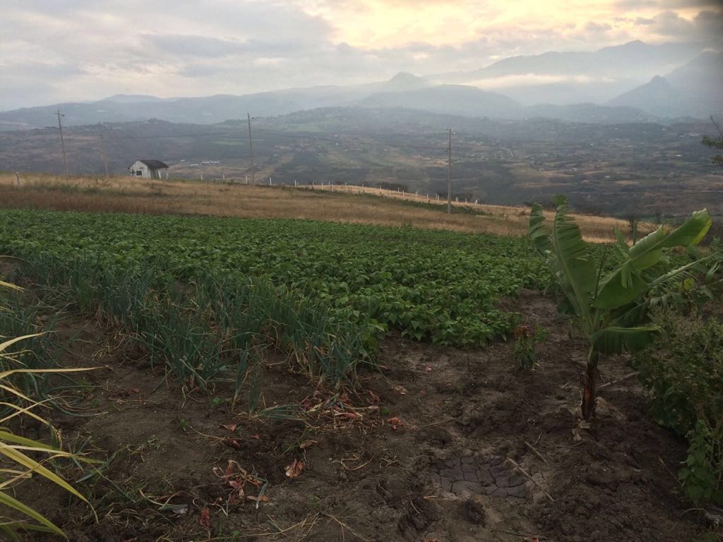 Vendo Lotes en Yunguilla (Sulupali)