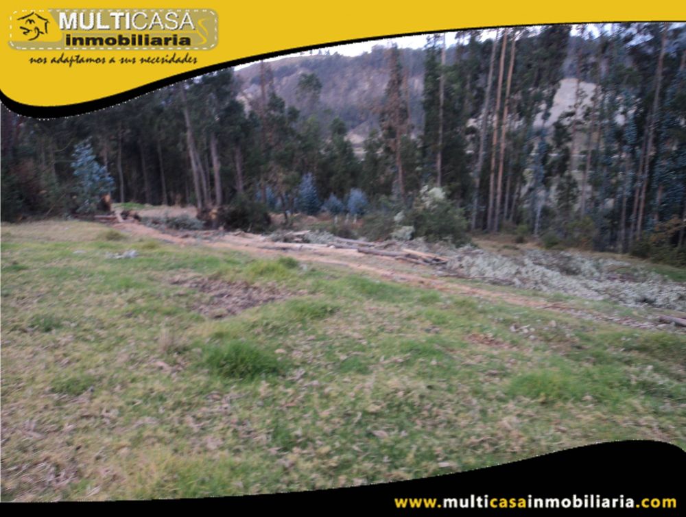 Sitio en Venta a Crédito  Sector Ricaurte Cuenca-Ecuador