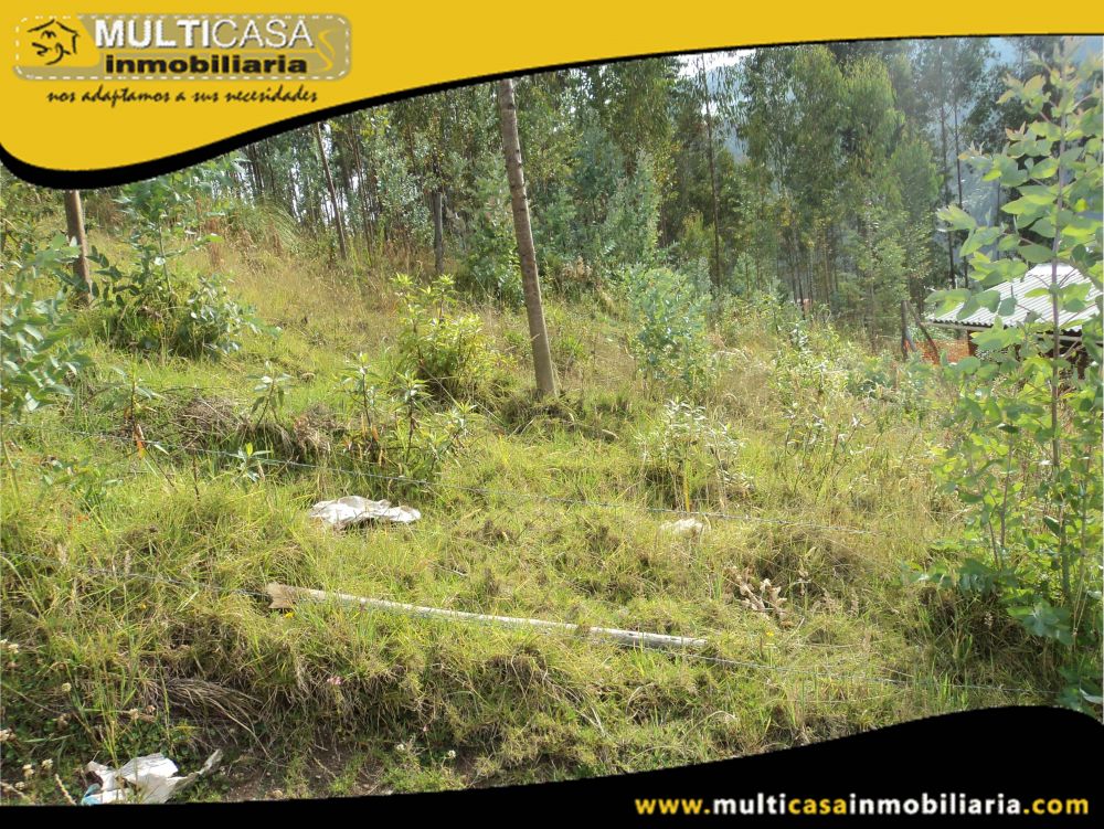Lote en Venta a Crédito Semiplano Sector Sayausi-Buenos Aires Cuenca-Ecuador