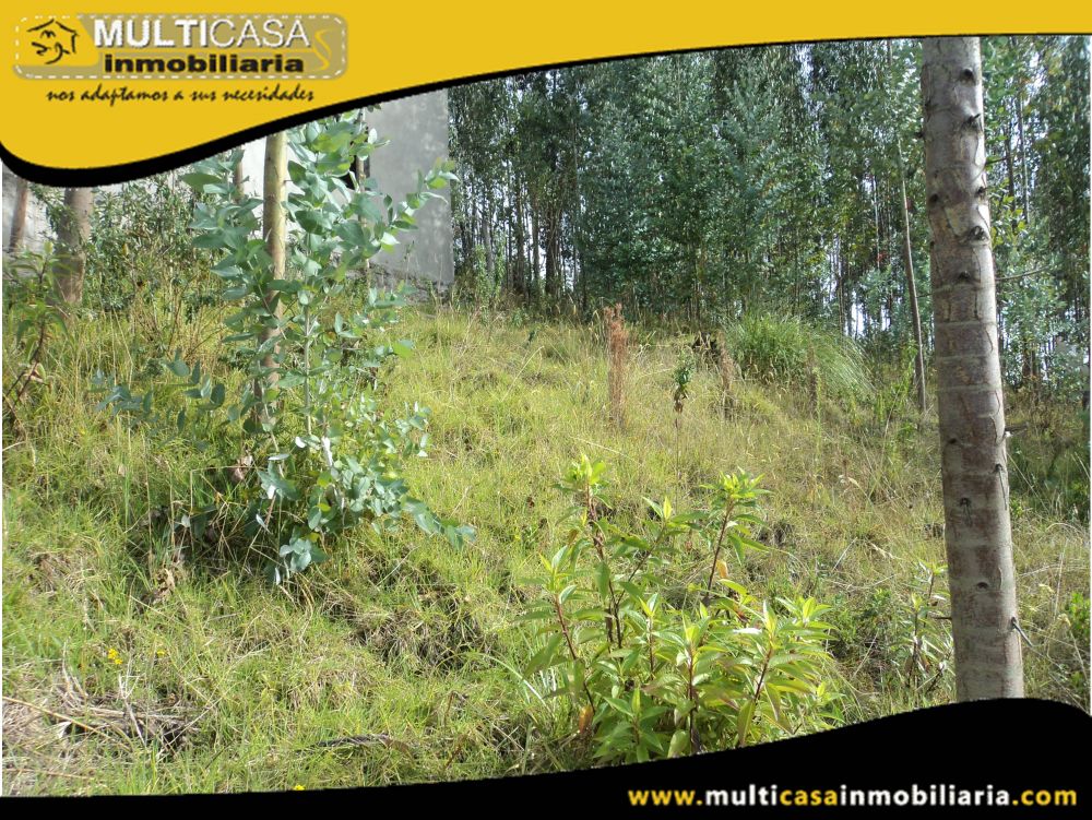 Lote en Venta a Crédito Semiplano Sector Sayausi-Buenos Aires Cuenca-Ecuador