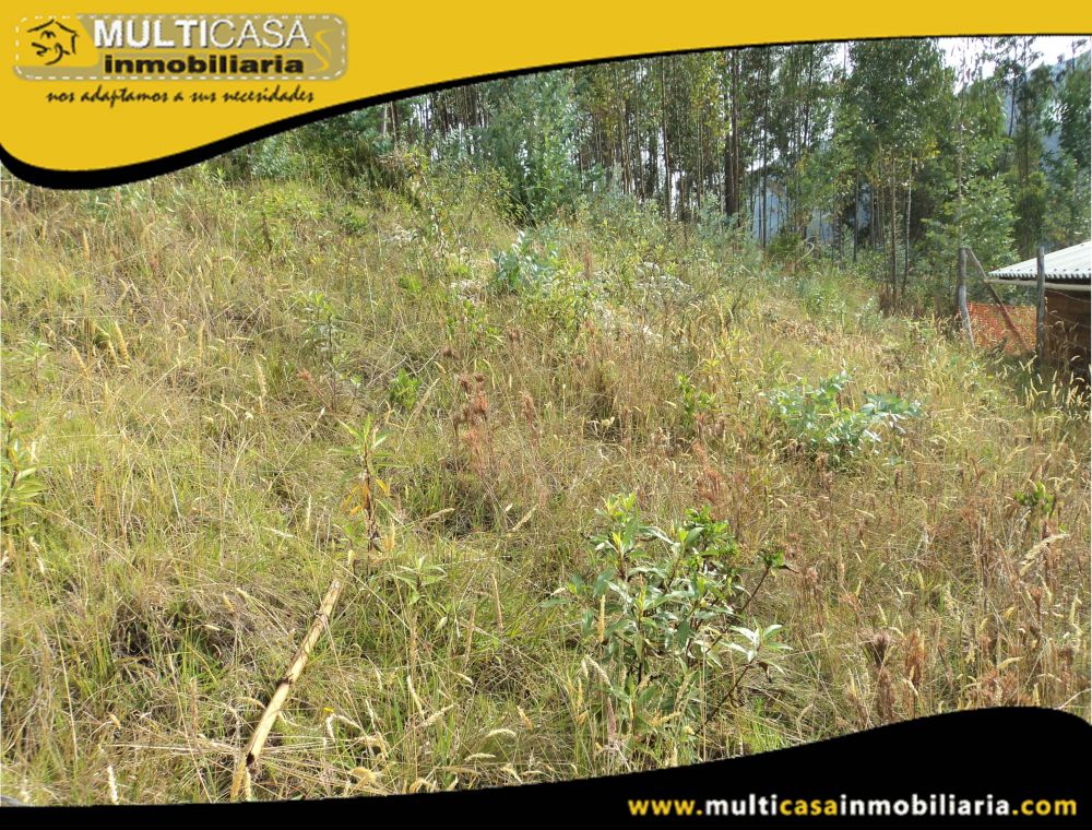 Lote en Venta a Crédito Semiplano Sector Sayausi-Buenos Aires Cuenca-Ecuador