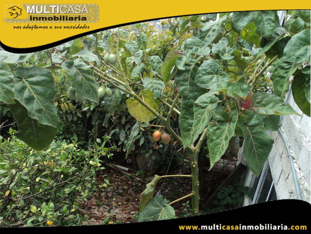 Casa Residencial-Hostal en Venta a Crédito Sector Vía al Valle-Chilcapamba Cuenca-Ecuador