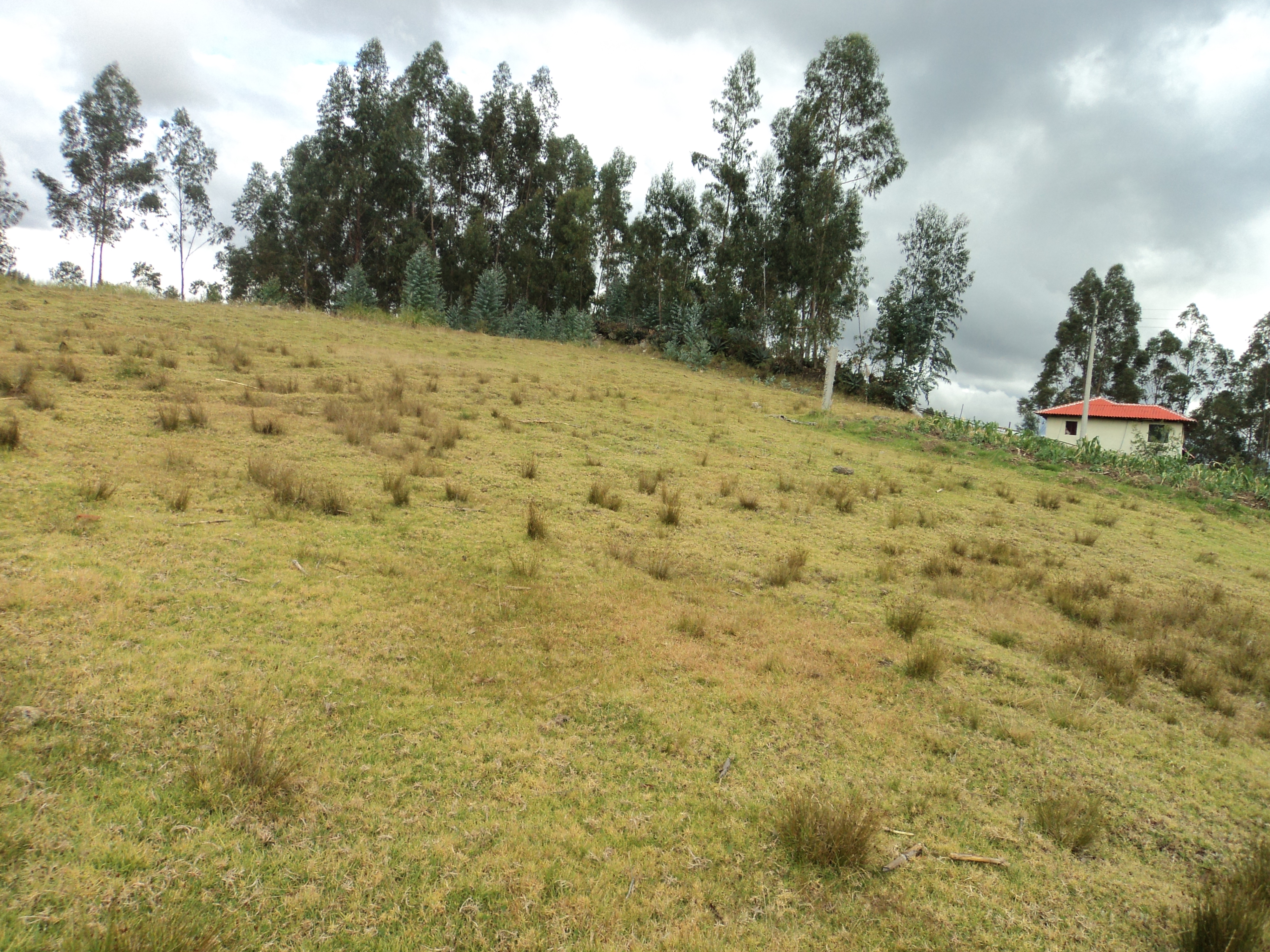Sitio en Venta a credito con Licencia Urbanistica Sector Mayancela Cuenca-Ecuador