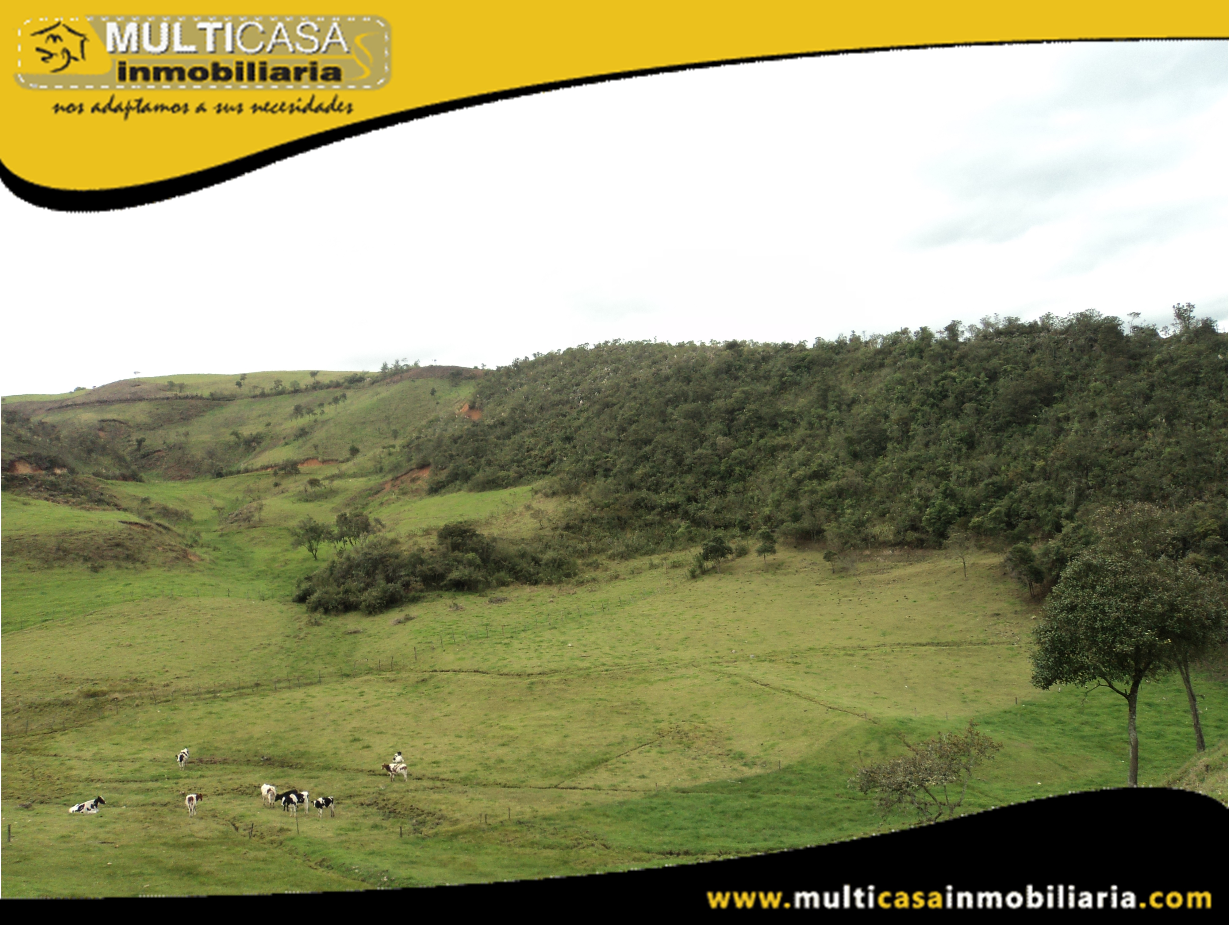 Hectáreas de Terreno en Venta a Crédito Sector Atucloma-Tarqui Cuenca-Ecuador