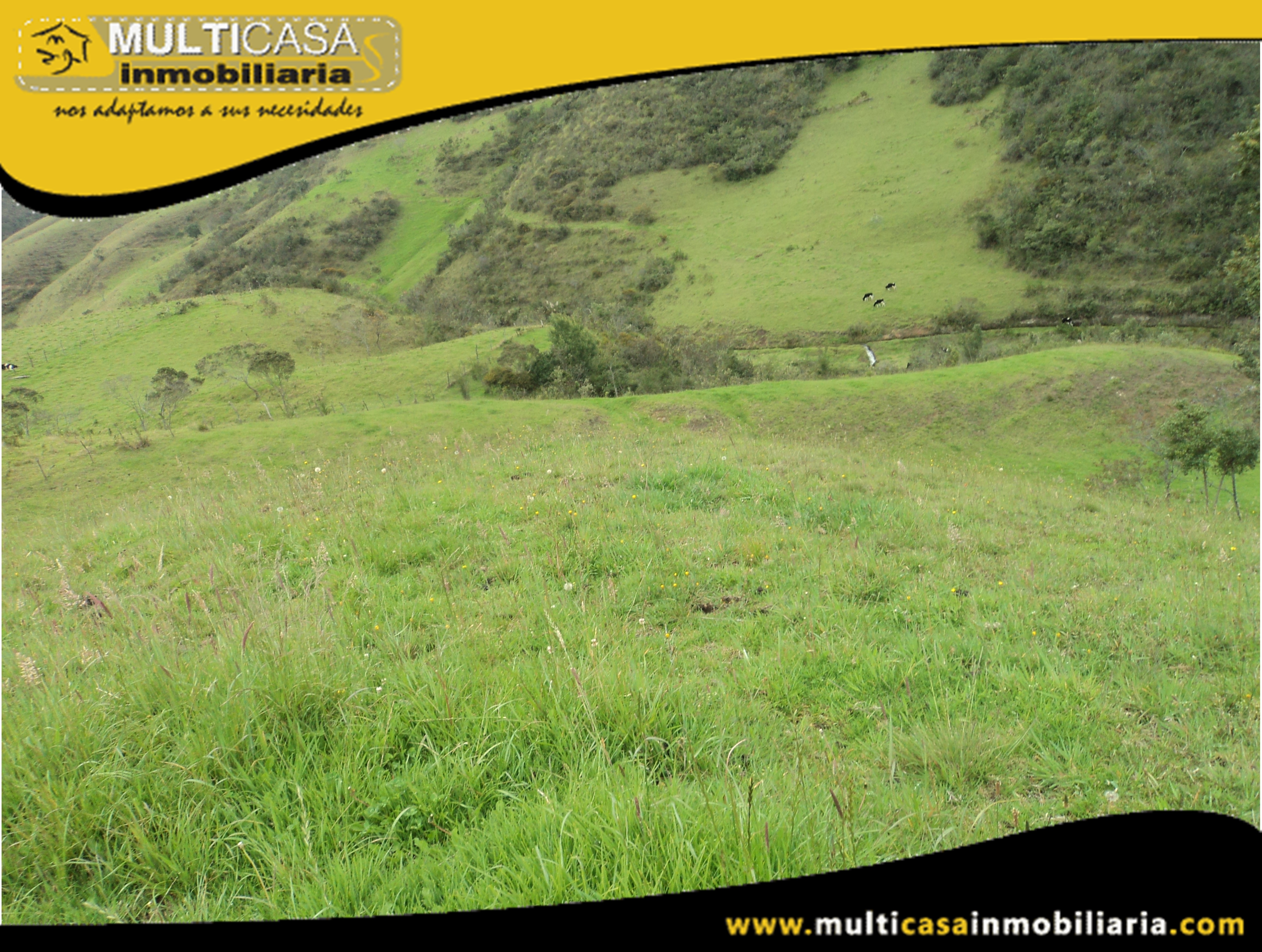 Hectáreas de Terreno en Venta a Crédito Sector Atucloma-Tarqui Cuenca-Ecuador