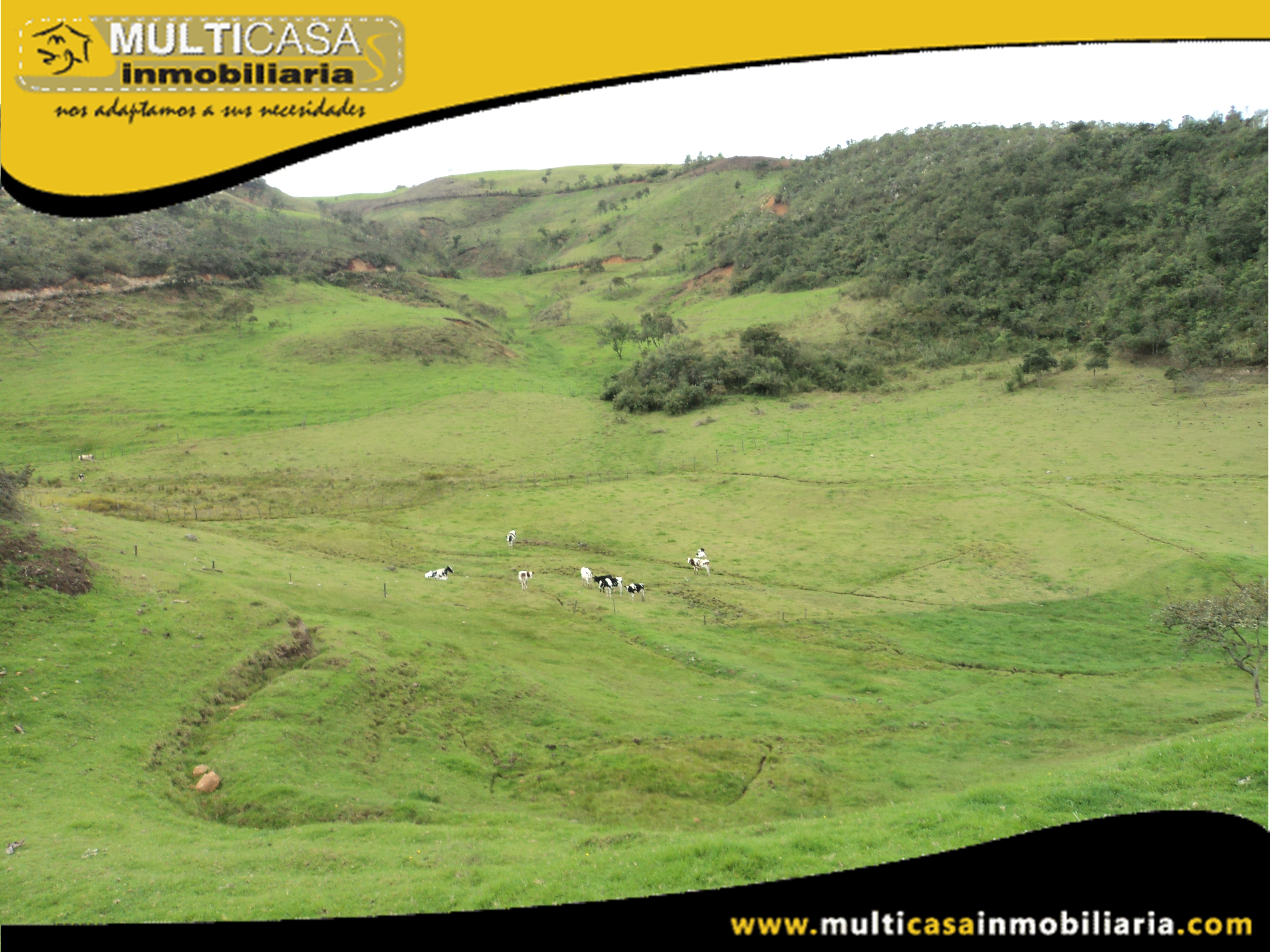 Hectáreas de Terreno en Venta a Crédito Sector Atucloma-Tarqui Cuenca-Ecuador