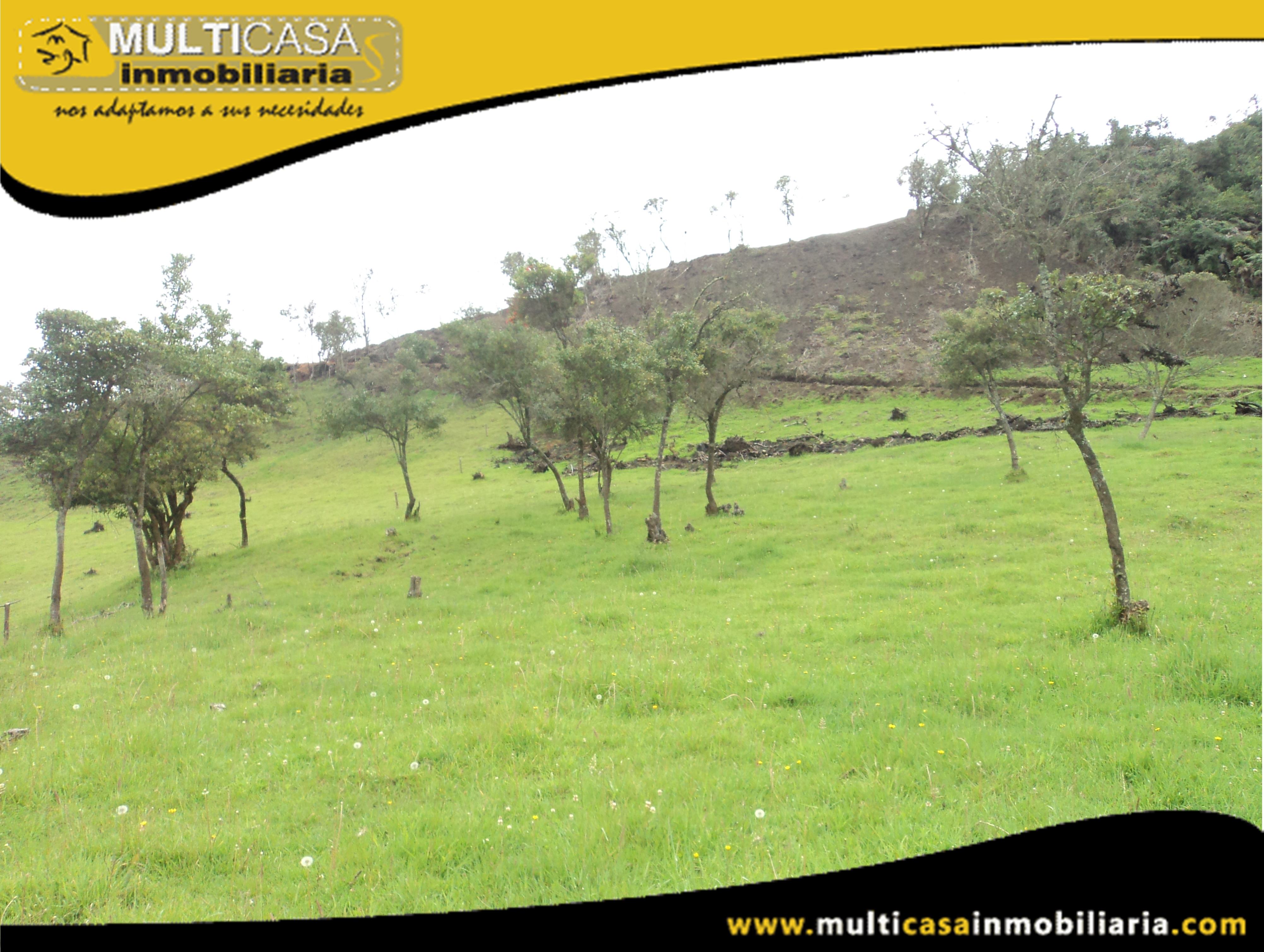 Hectáreas de Terreno en Venta a Crédito Sector Atucloma-Tarqui Cuenca-Ecuador