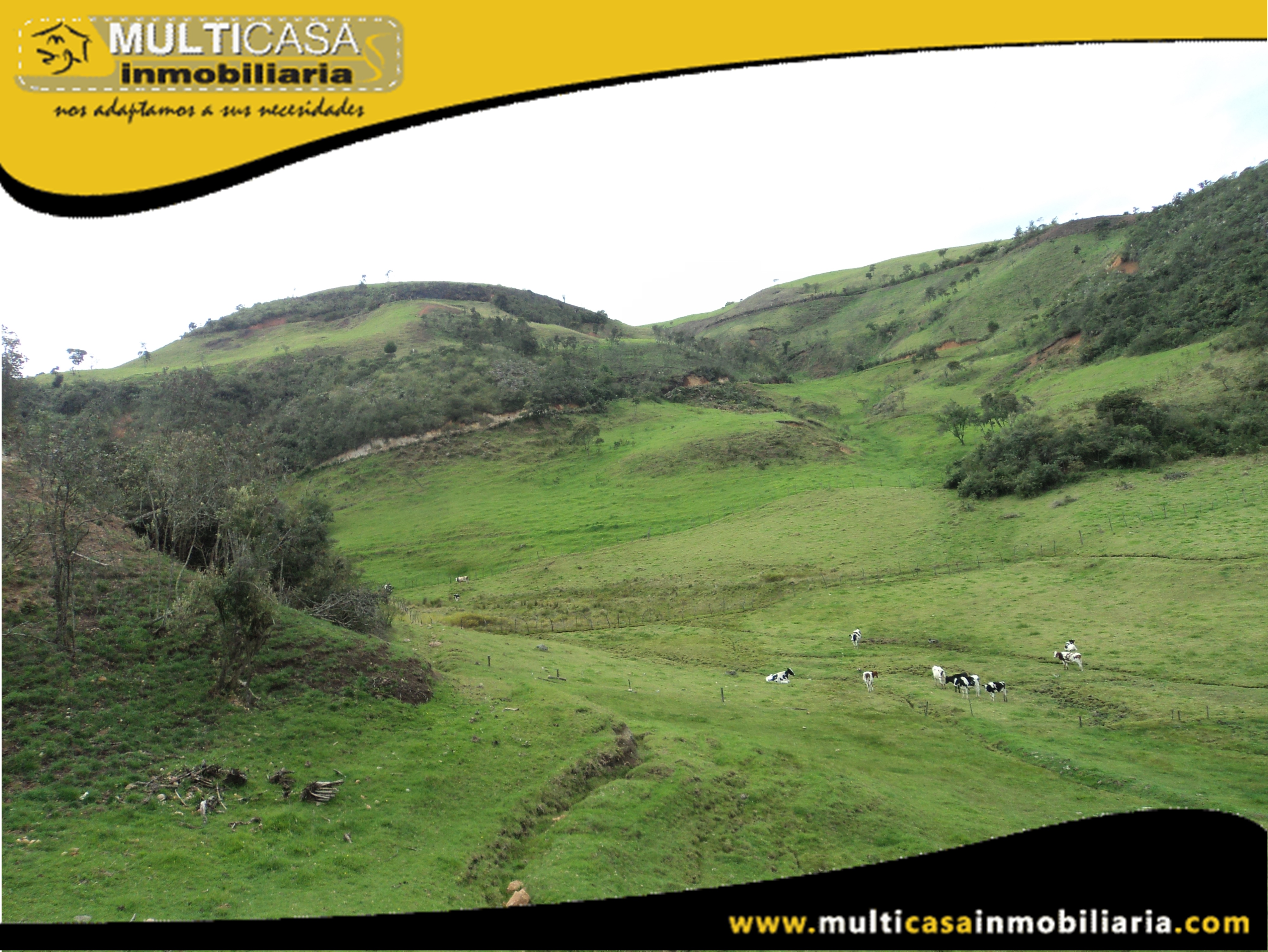 Hectáreas de Terreno en Venta a Crédito Sector Atucloma-Tarqui Cuenca-Ecuador