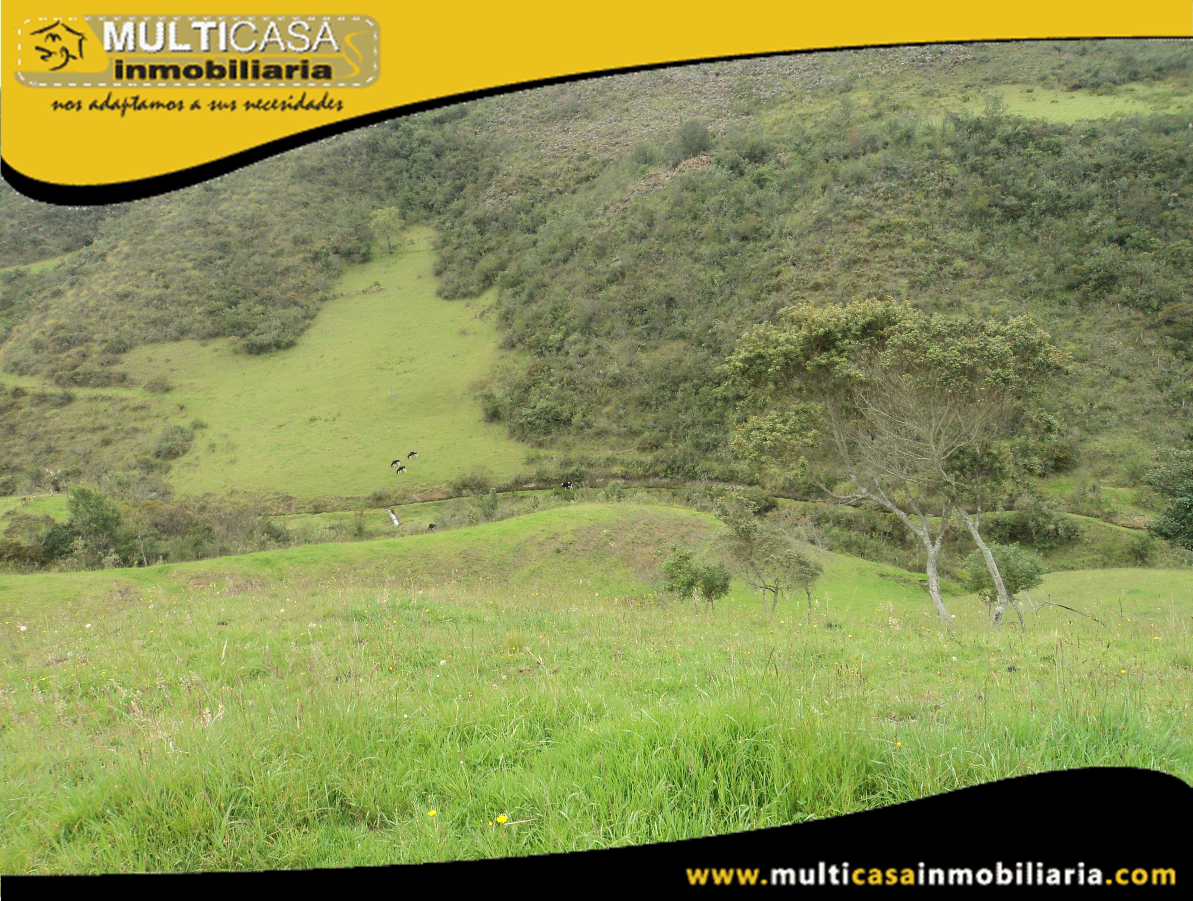 Hectáreas de Terreno en Venta a Crédito Sector Atucloma-Tarqui Cuenca-Ecuador