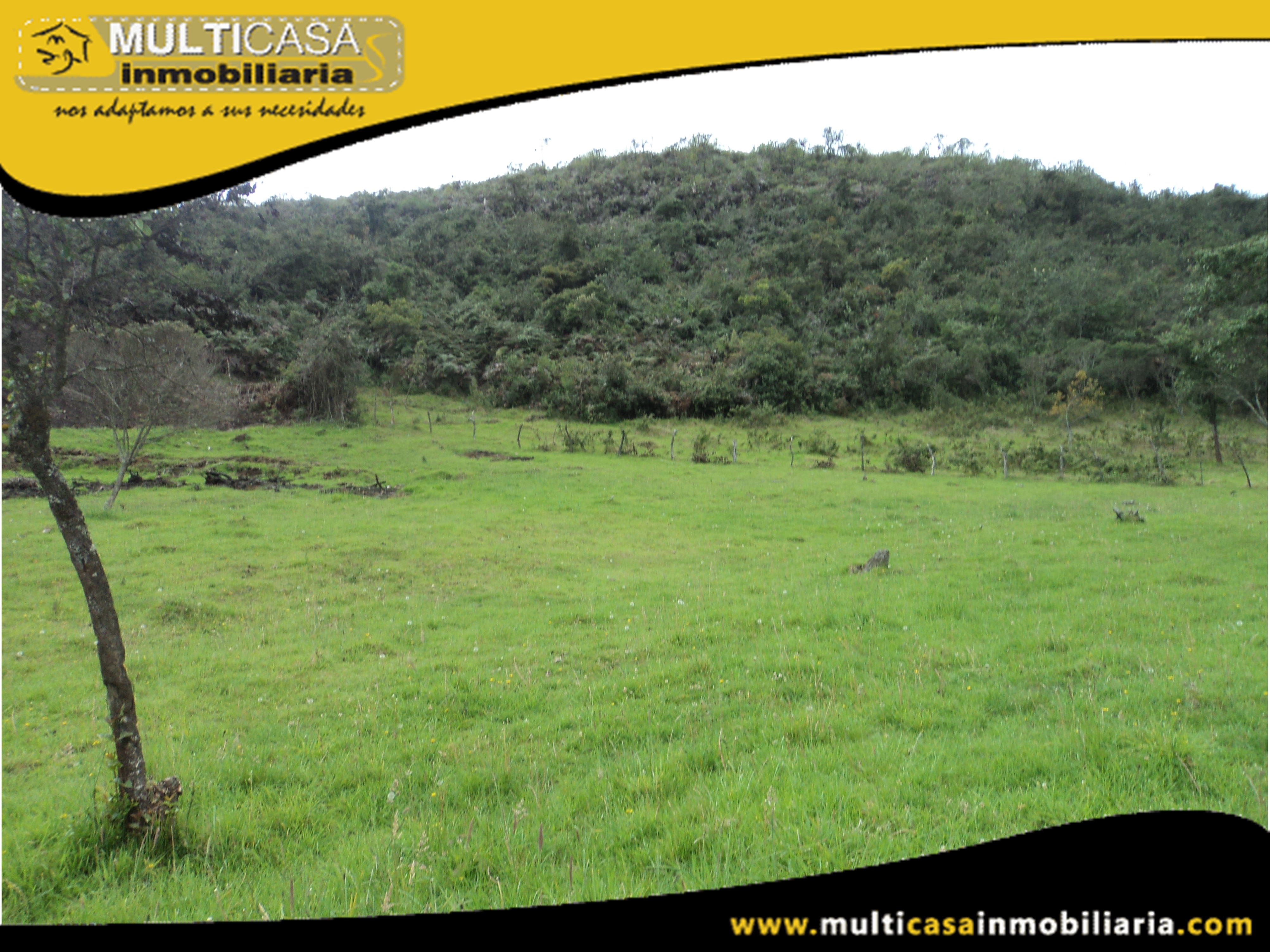 Terreno en Venta a Crédito con ganado Sector Atucloma-Tarqui Cuenca-Ecuador