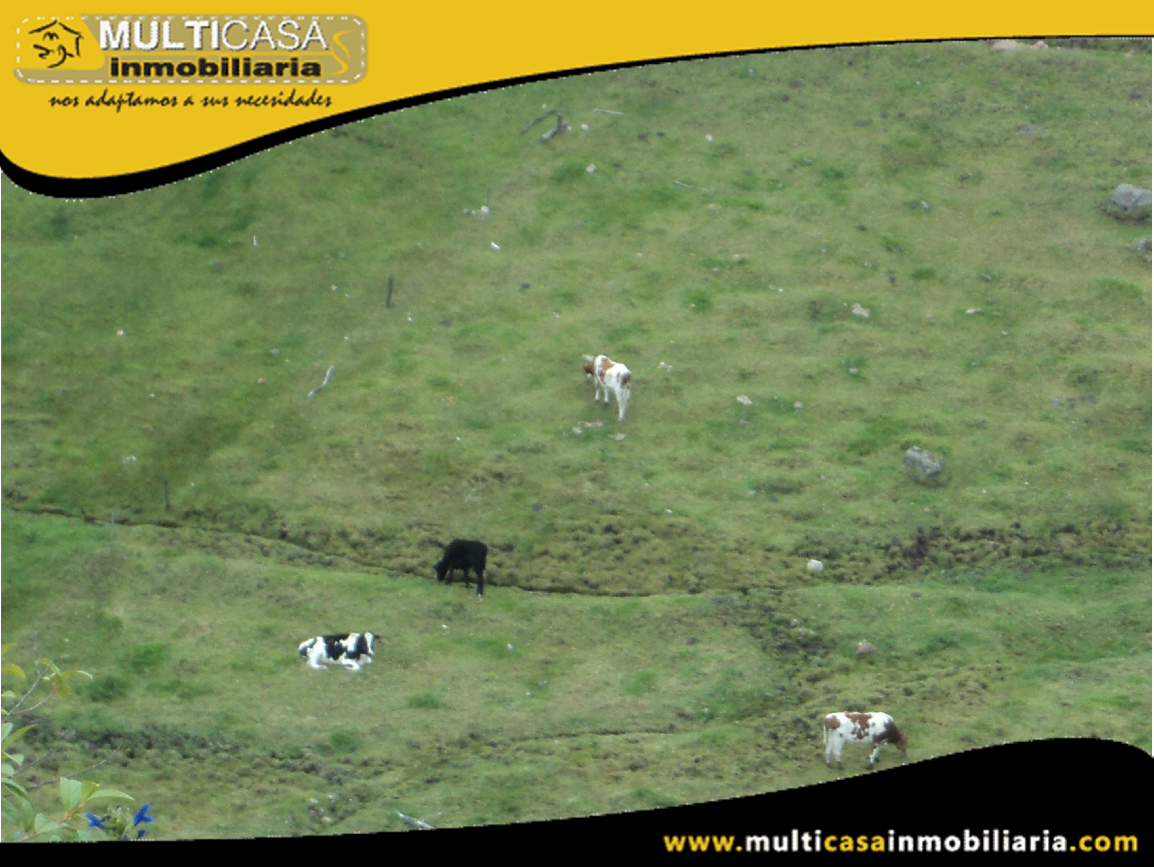 Hacienda en Venta a Crédito Sector Tarqui-Atucloma Cuenca-Ecuador