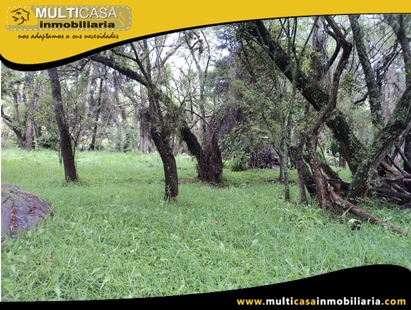 Terreno en Venta a Crédito Sector Ucubamba Cuenca-Ecuador