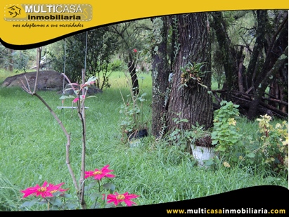 Terreno en Venta a Crédito Sector Ucubamba Cuenca-Ecuador