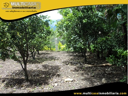 Terreno en Venta para cultivo a Crédito Sector Yunguilla - Ecuador