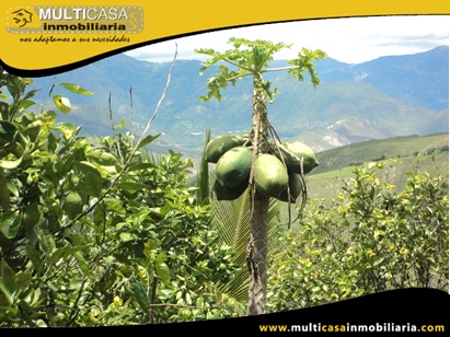 Terreno en Venta para cultivo a Crédito Sector Yunguilla - Ecuador