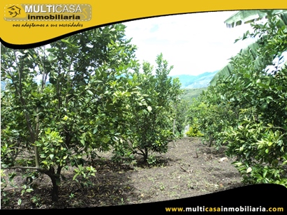 Terreno en Venta para cultivo a Crédito Sector Yunguilla - Ecuador