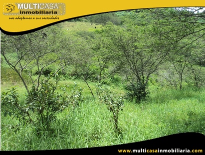 Terreno en Venta para cultivo a Crédito Sector Yunguilla - Ecuador