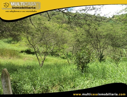 Terreno en Venta para cultivo a Crédito Sector Yunguilla - Ecuador