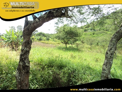 Terreno en Venta para cultivo a Crédito Sector Yunguilla - Ecuador