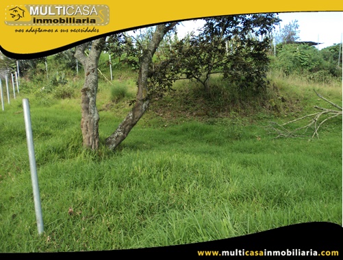 Dos Lotes en Venta con Licencia Urbanistica a Crédito Sector Challuabamba Cuenca-Ecuador