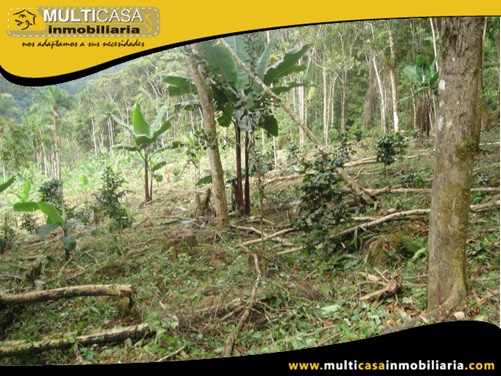 Hacienda en Venta a Crédito Sector Canoa Rota Gualaquiza - Ecuador