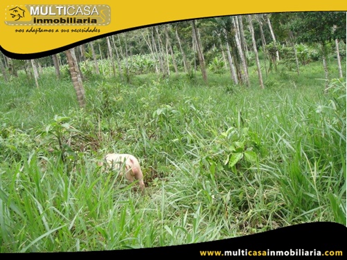 Hacienda en Venta a Crédito Sector Canoa Rota Gualaquiza - Ecuador