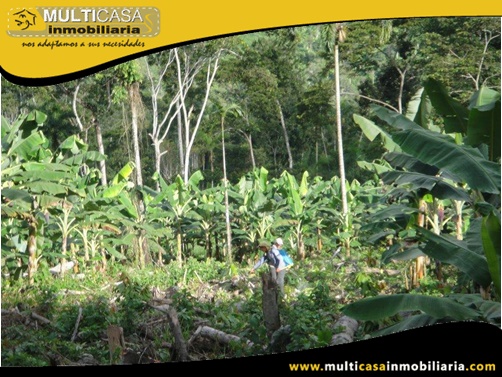 Hacienda en Venta a Crédito Sector Canoa Rota Gualaquiza - Ecuador