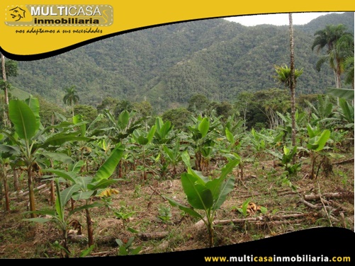 Hacienda en Venta a Crédito Sector Canoa Rota Gualaquiza - Ecuador