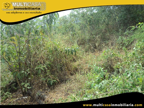 Terreno en Venta a Crédito Sector Yunguilla - Ecuador