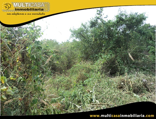 Terreno en Venta a Crédito Sector Yunguilla - Ecuador