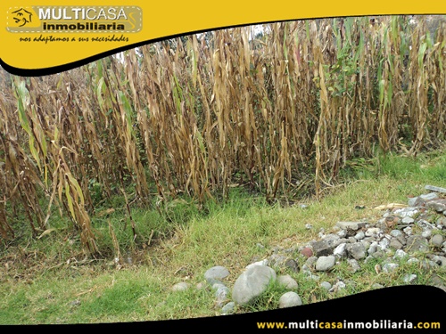 Terreno en Venta a Crédito Sector Capulispamba Cuenca-Ecuador