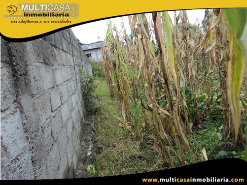 Terreno en Venta a Crédito Sector Capulispamba Cuenca-Ecuador