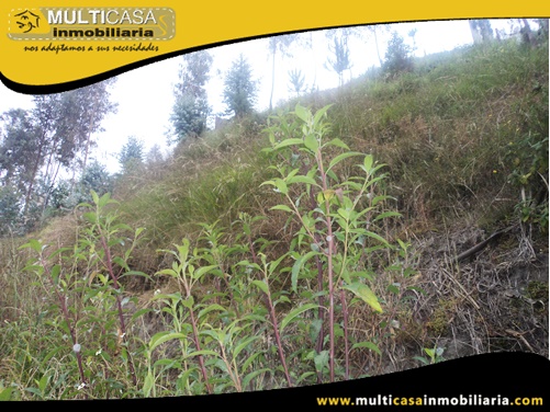 Terreno en Venta a Crédito Sector Control Sur Cuenca-Ecuador