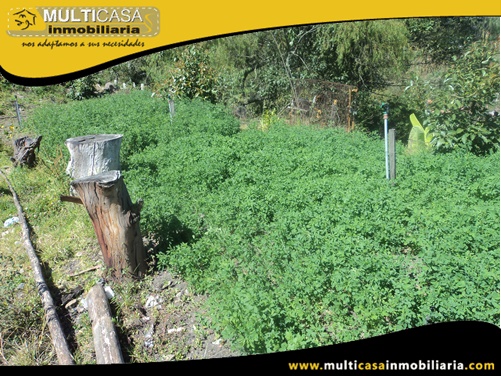 Casa con Terreno en Venta a Crédito Sector Challuabamba Cuenca-Ecuador