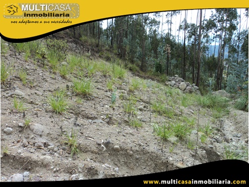 Terreno en Venta a Crédito con Licencia Urbanística Sector Misicata Cuenca-Ecuador