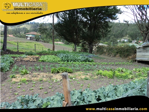 Terreno Comercial en Venta a Crédito Sector Vía a Paccha Cuenca-Ecuador