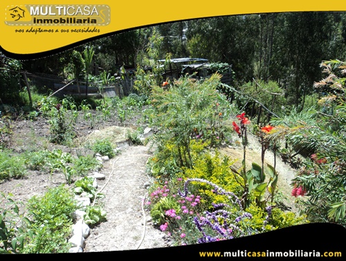 Casa en Venta a Crédito con Dos Locales Comerciales Sector Vía a Llacao Cuenca-Ecuador