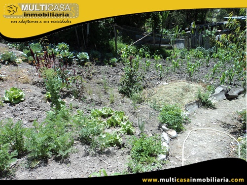 Casa en Venta a Crédito con Dos Locales Comerciales Sector Vía a Llacao Cuenca-Ecuador