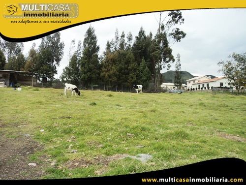 Lotes en Venta a Crédito Sector Tarqui - Ecuador