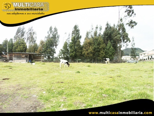 Lotes en Venta a Crédito Sector Tarqui - Ecuador