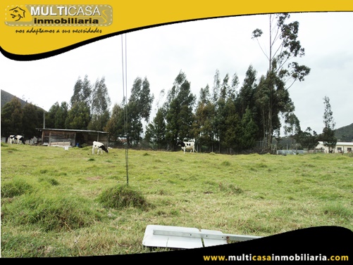 Lotes en Venta a Crédito Sector Tarqui - Ecuador