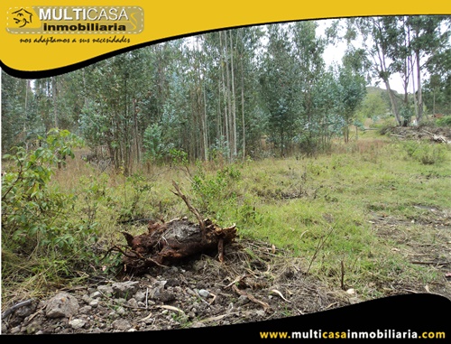 Lotes en Venta a Crédito Sector Solano - Ecuador