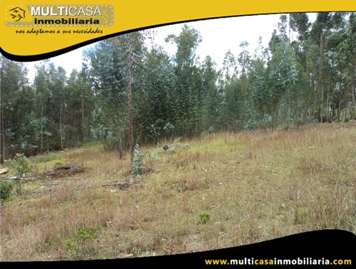 Terreno en Venta a Crédito Sector Solano - Ecuador