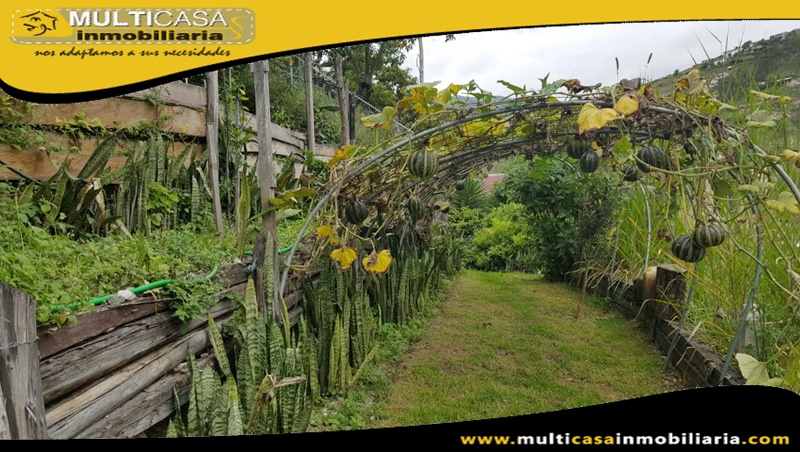 Quinta en Venta a Crédito Sector Centro de la Ciudad Paute-Ecuador