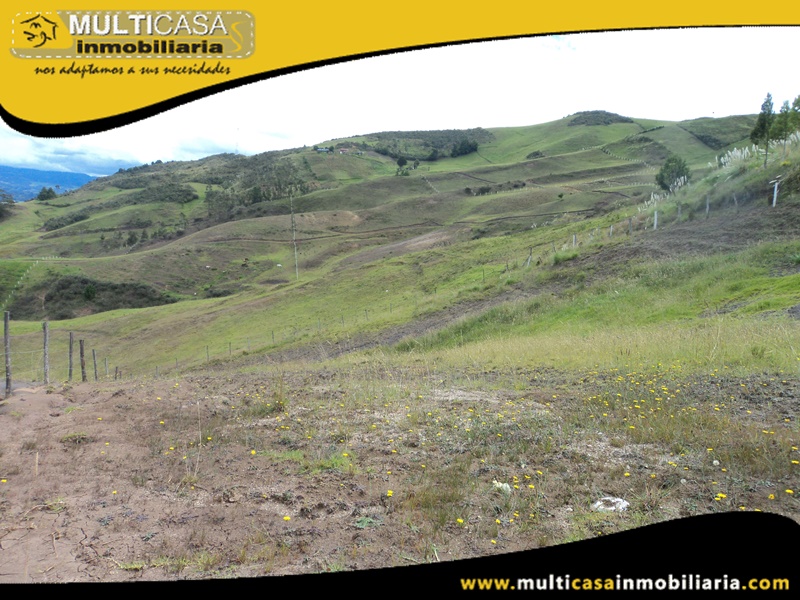 Lotes en Venta a Crédito Sector Cumbe-Ecuador