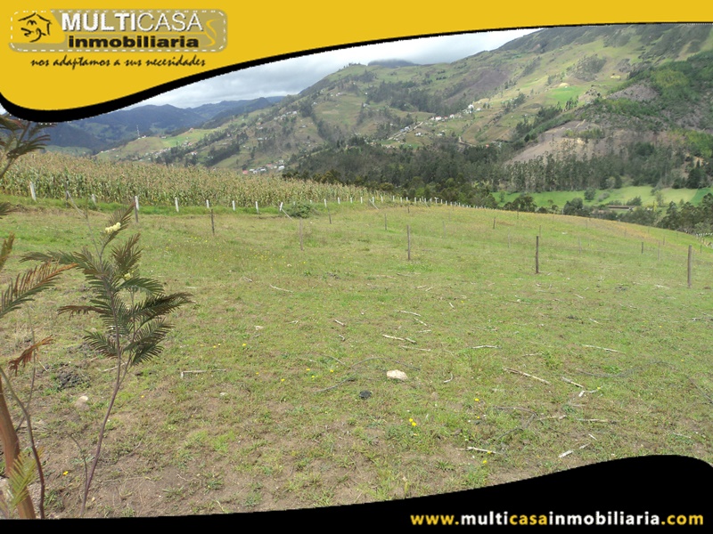 Lotes en Venta a Crédito Sector Cumbe-Ecuador