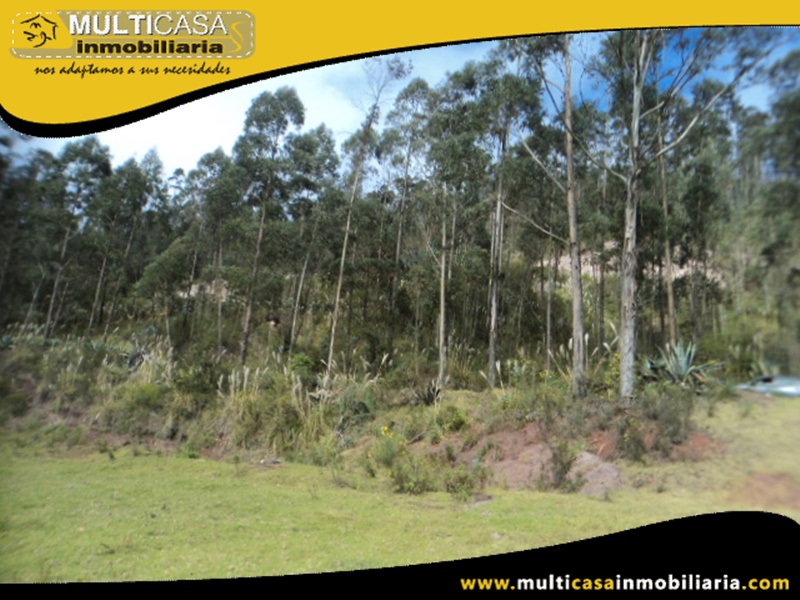 Lotes en Venta a Crédito Sector Nulti -Ecuador