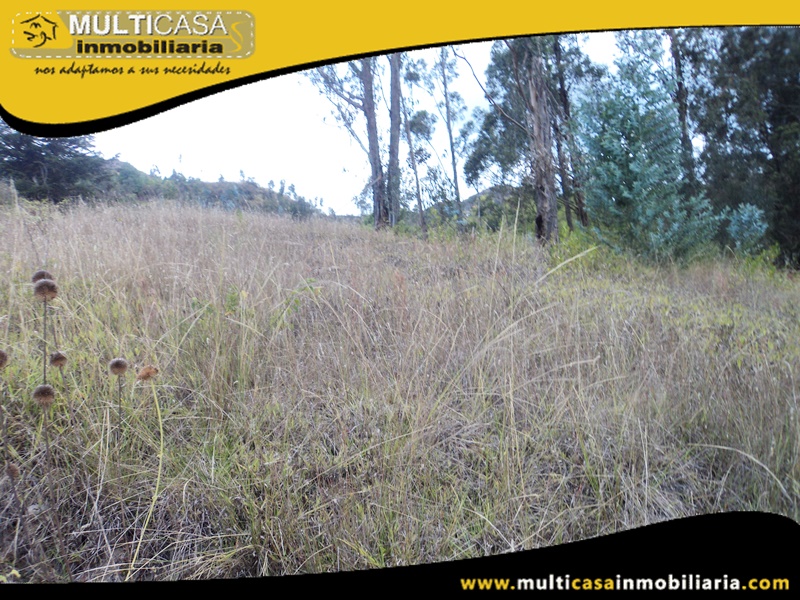 Terreno en Venta a Crédito Sector Challuabamba Cuenca- Ecuador