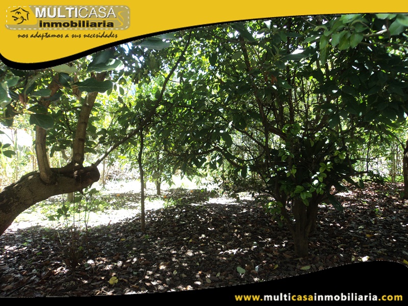 Terreno en Venta a Crédito Sector  Paute - Ecuador
